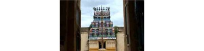 24. திருச்சிறுபுலியூர்